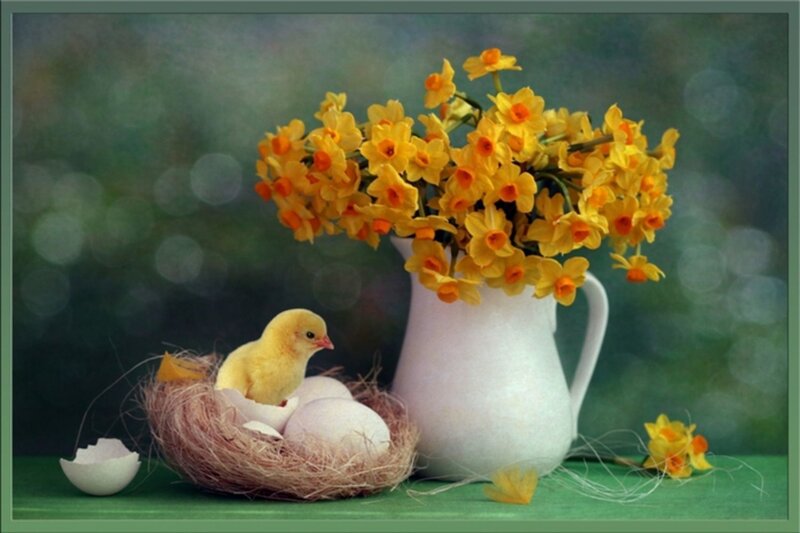Chick in Nest with Flowers