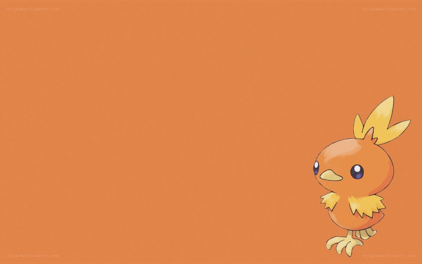 Chick Pokémon on orange background
