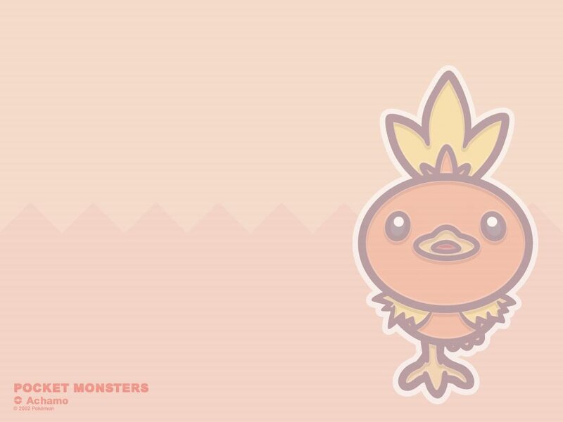 Chick Pokémon wallpaper