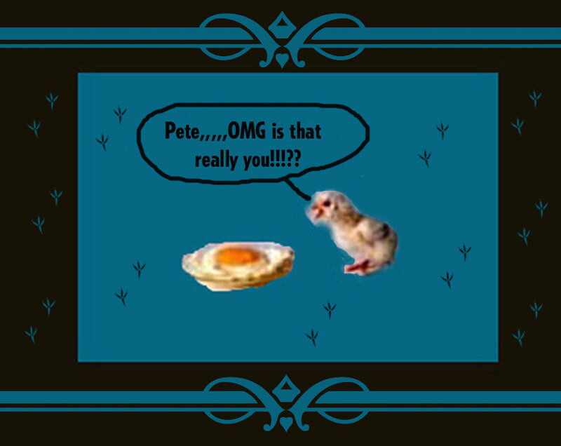 chick sees fried egg