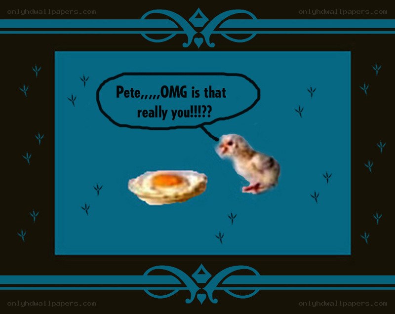 chick sees fried egg