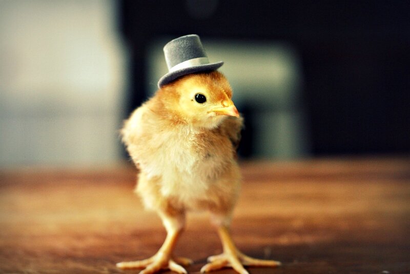 Chick Wearing Top Hat — Yellow