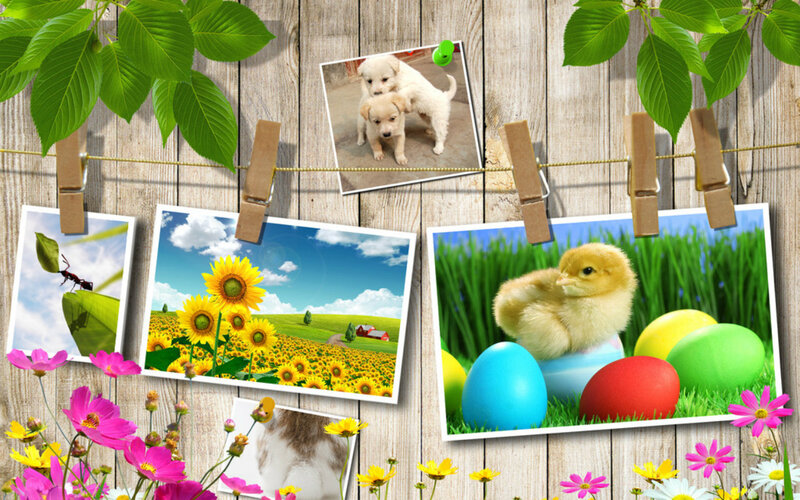 Chick with Easter Eggs — Green, Cheerful