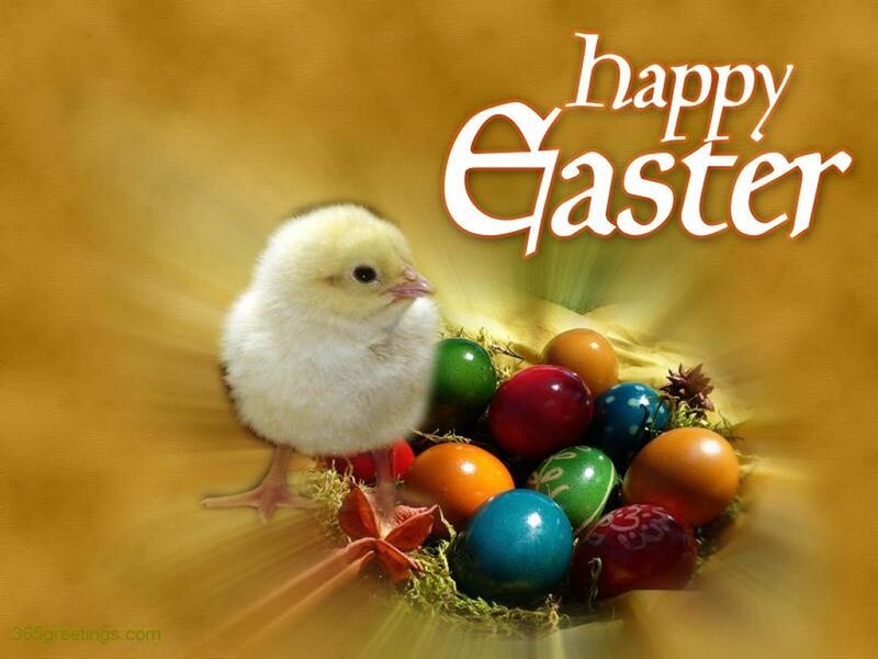 Chick with Easter Eggs — Yellow