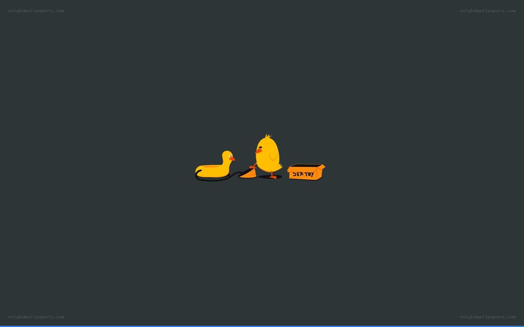chick with rubber duck and box