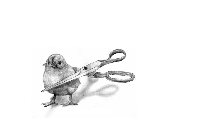 chick with scissors