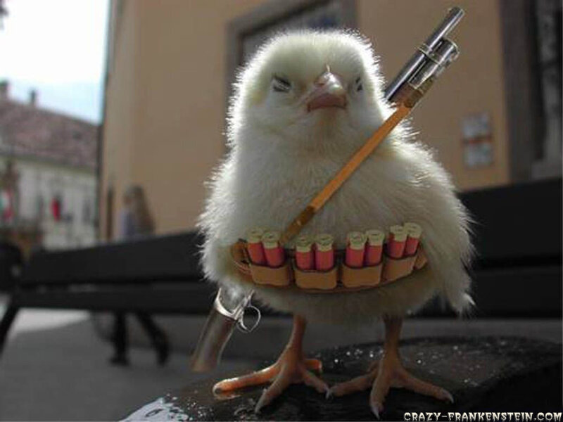chick with toy gun
