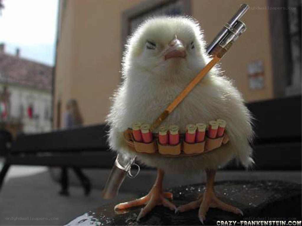 chick with toy gun
