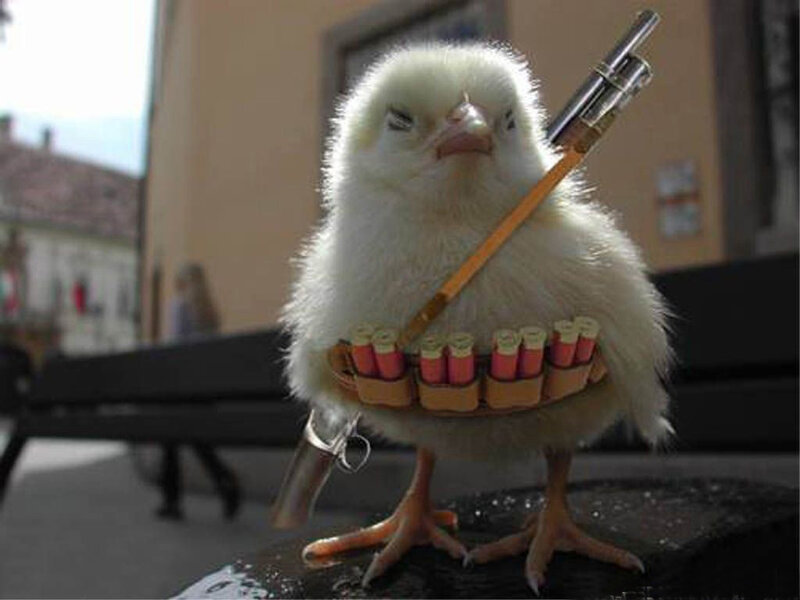 chick with toy gun