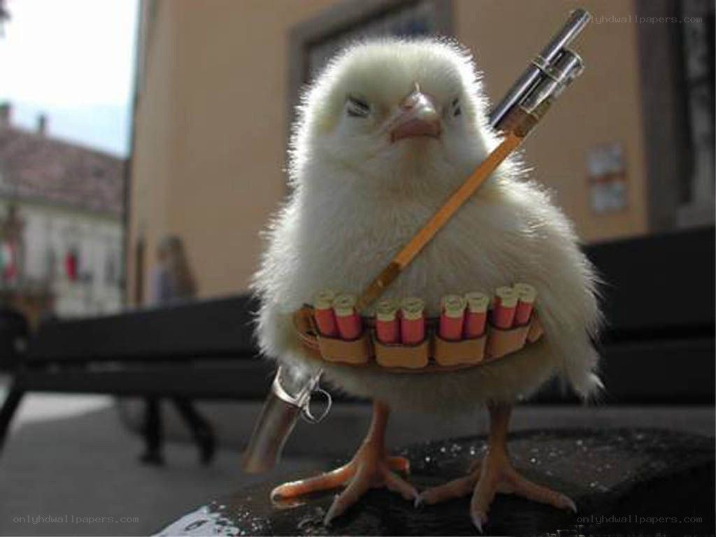 chick with toy gun