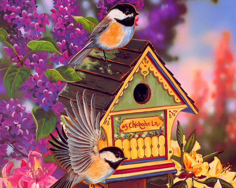 Chickadee Birds at Birdhouse