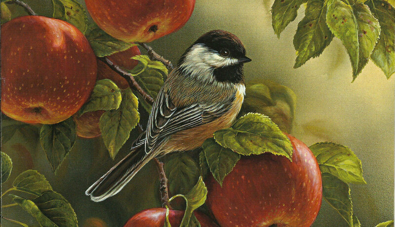 Chickadee on Apple Branch — Red, Serene, Autumn, Painting