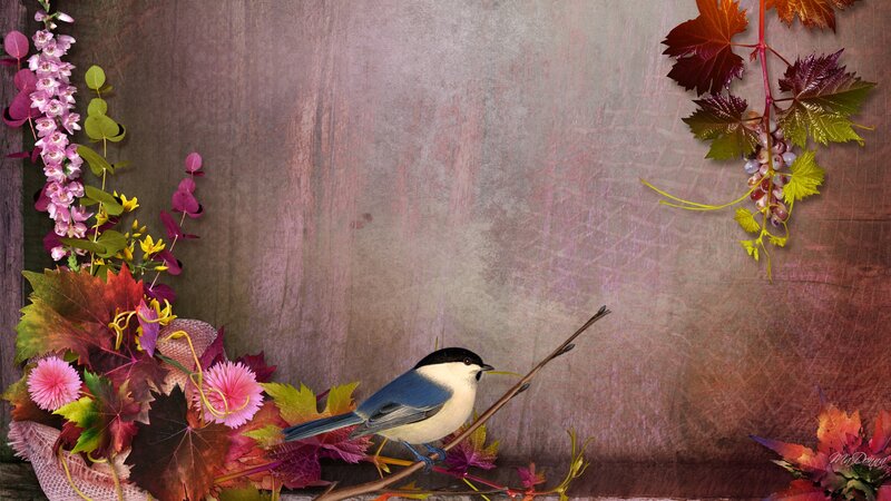 Chickadee on Branch — Brown, Serene