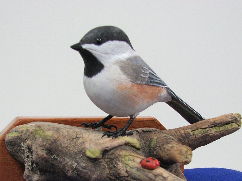 Chickadee on Branch — Gray, Calm