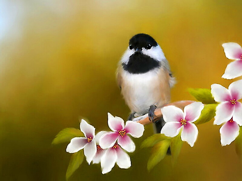 Chickadee on Flower Branch — Yellow, Serene