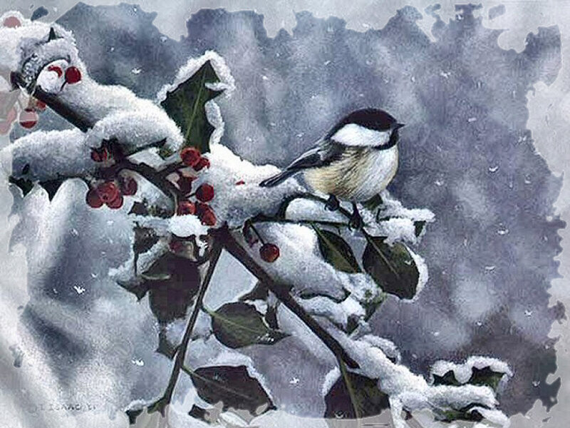 Chickadee on Holly Branch — White