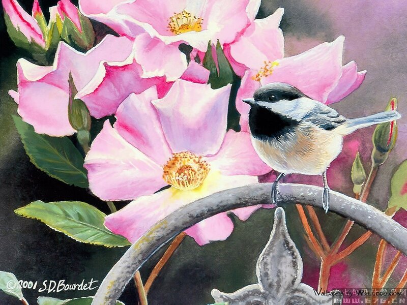 Chickadee on Rose Bush