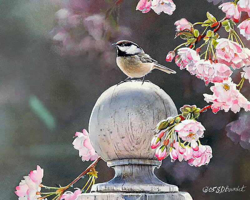 Chickadee on Stone Post — Pink, Serene