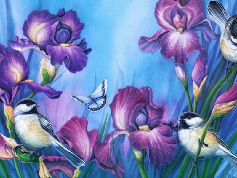 Chickadees Among Irises — Purple