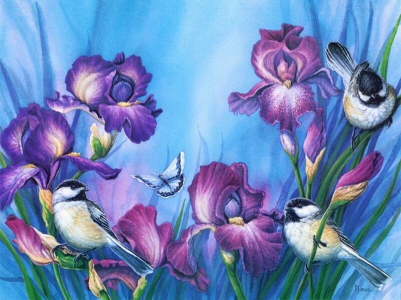 Chickadees Among Irises