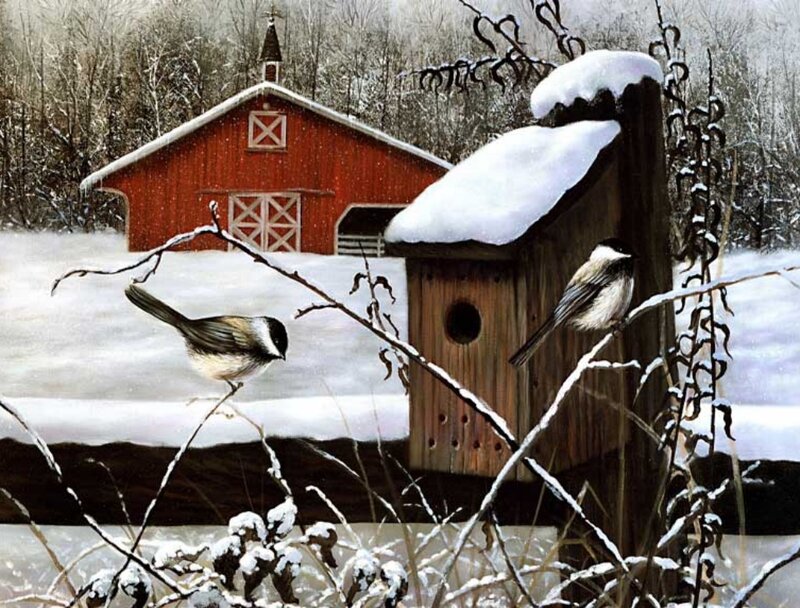 Chickadees at Birdhouse