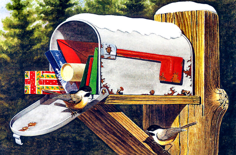 Chickadees in Mailbox