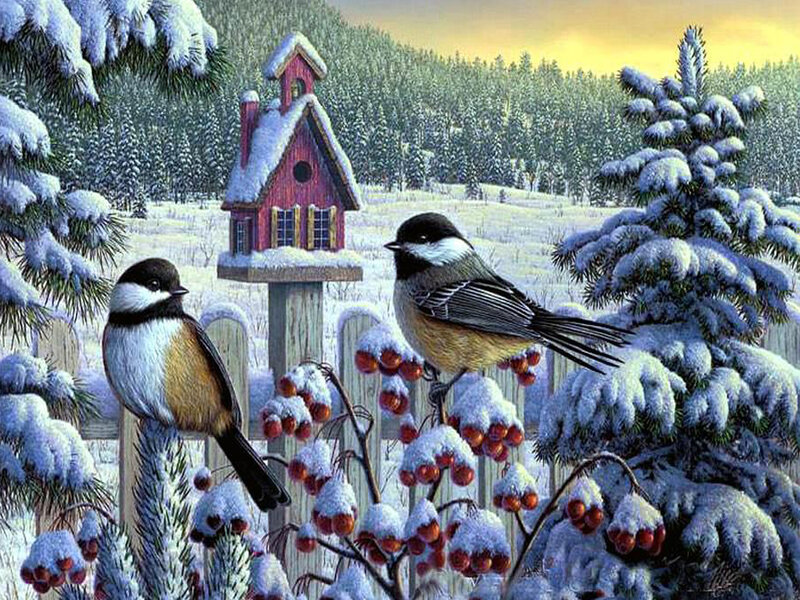 Chickadees on Berries