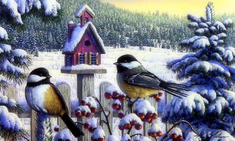 Chickadees on Berry Bush