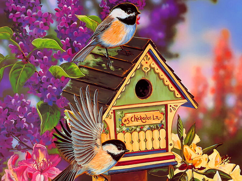 Chickadees on Birdhouse — Purple