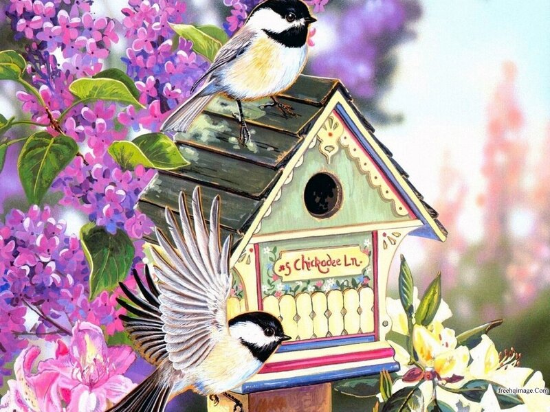 Chickadees on Birdhouse
