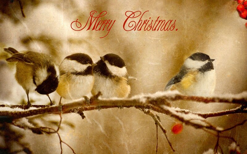 Chickadees on Branch — Brown