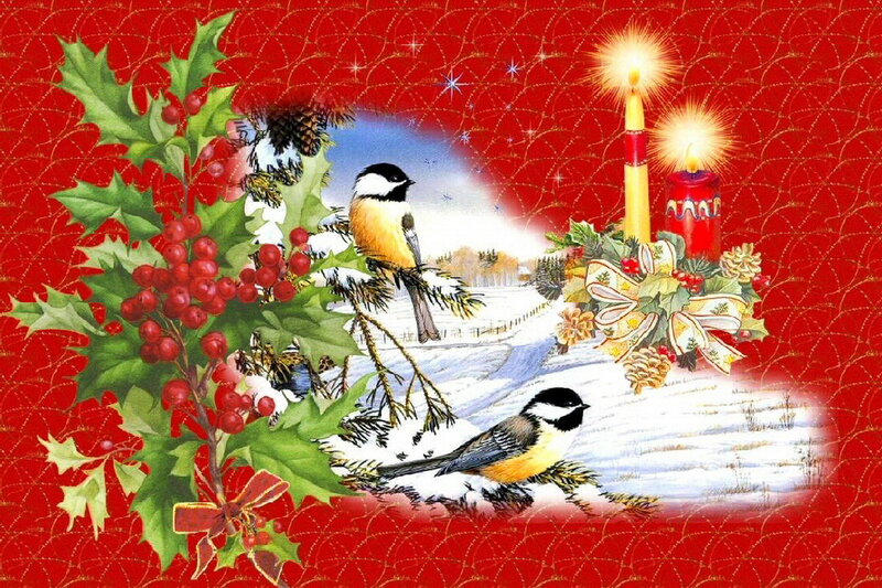 Chickadees on Holly — Red