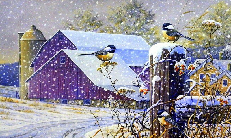 Chickadees on Snowy Farm