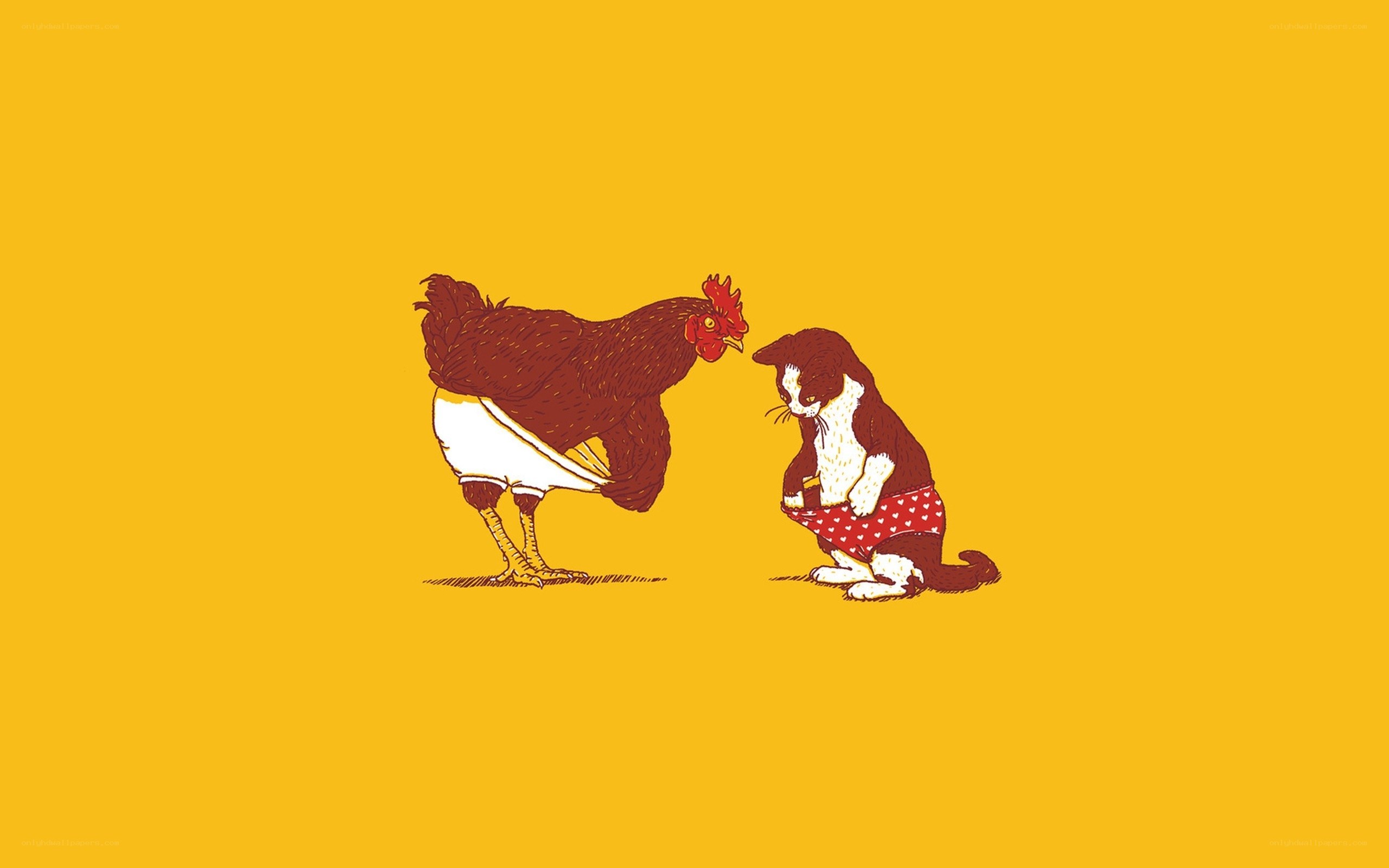 Chicken and cat in underwear