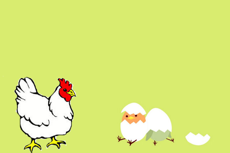 Chicken and Chick