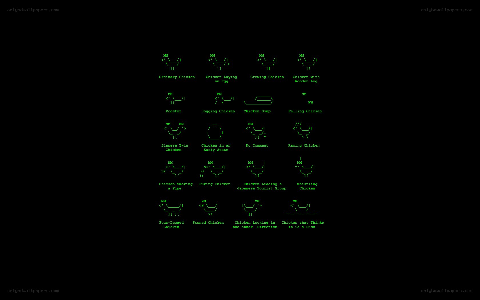 Chicken ASCII Art Collection