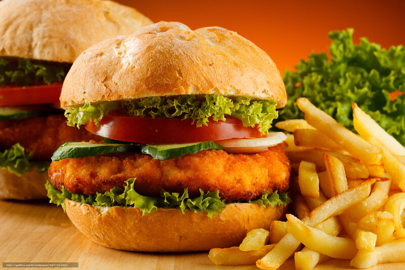 Chicken Burger with Fries — Orange