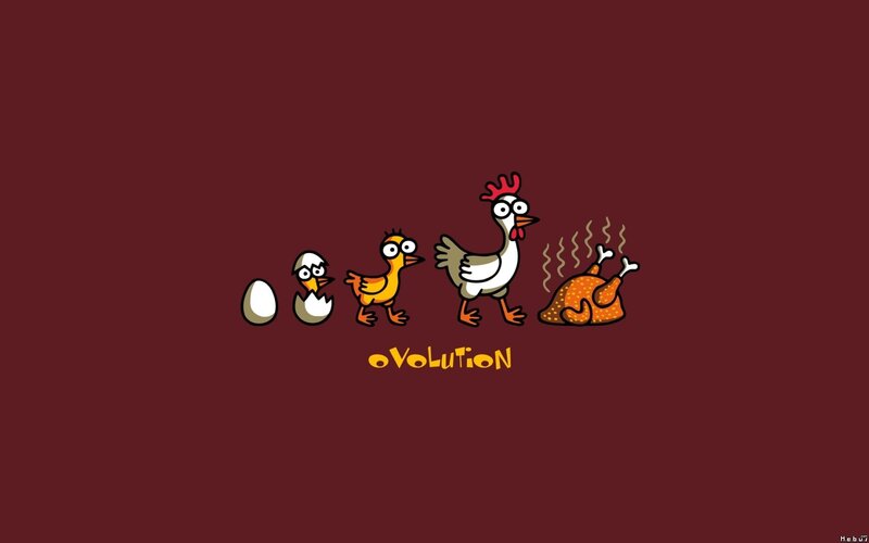 Chicken Evolution — Maroon