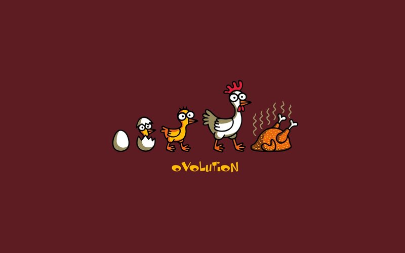 Chicken Evolution