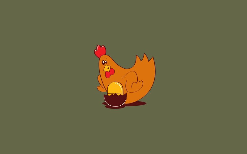 Chicken Hatching Egg — Brown