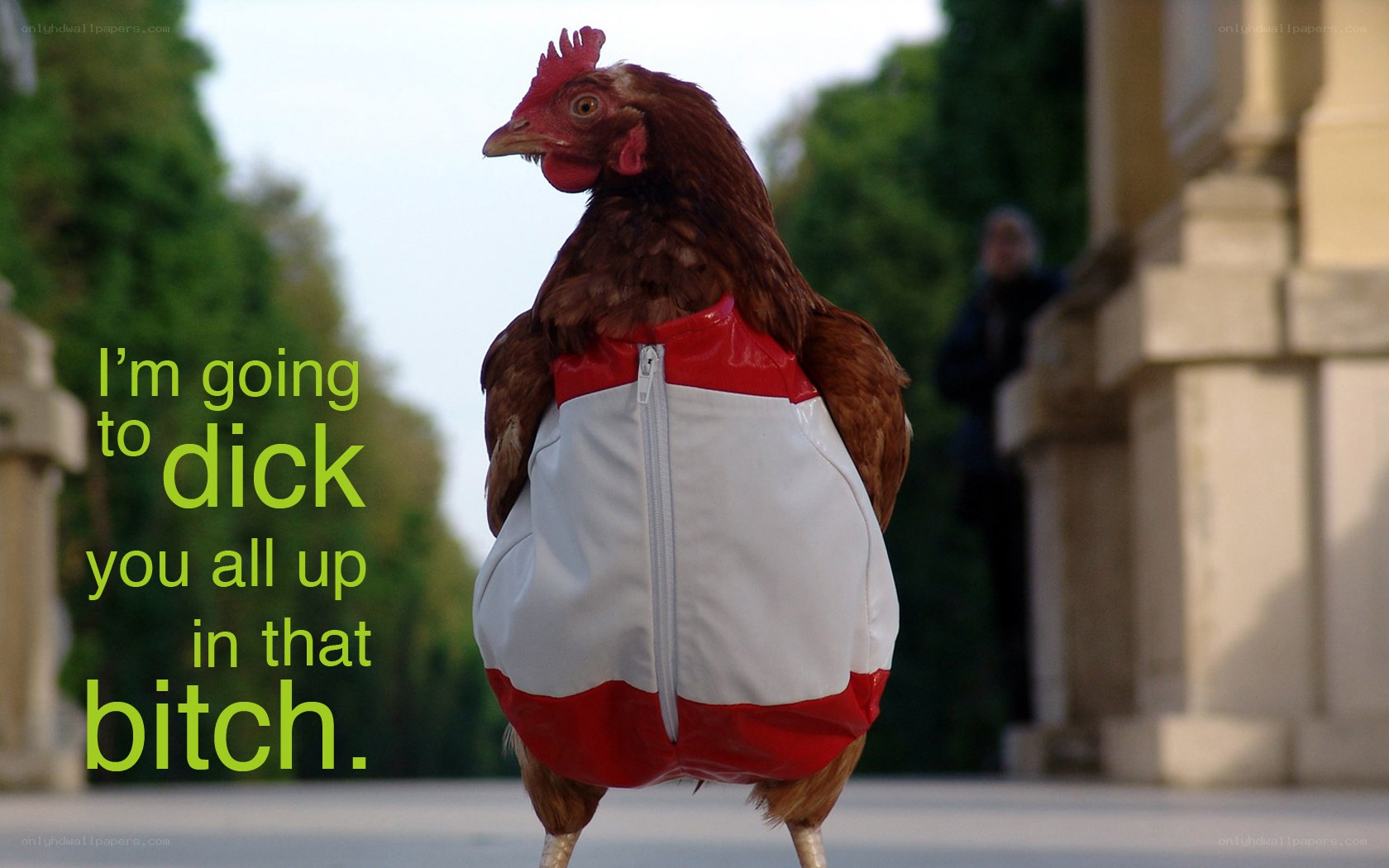 chicken in a jacket