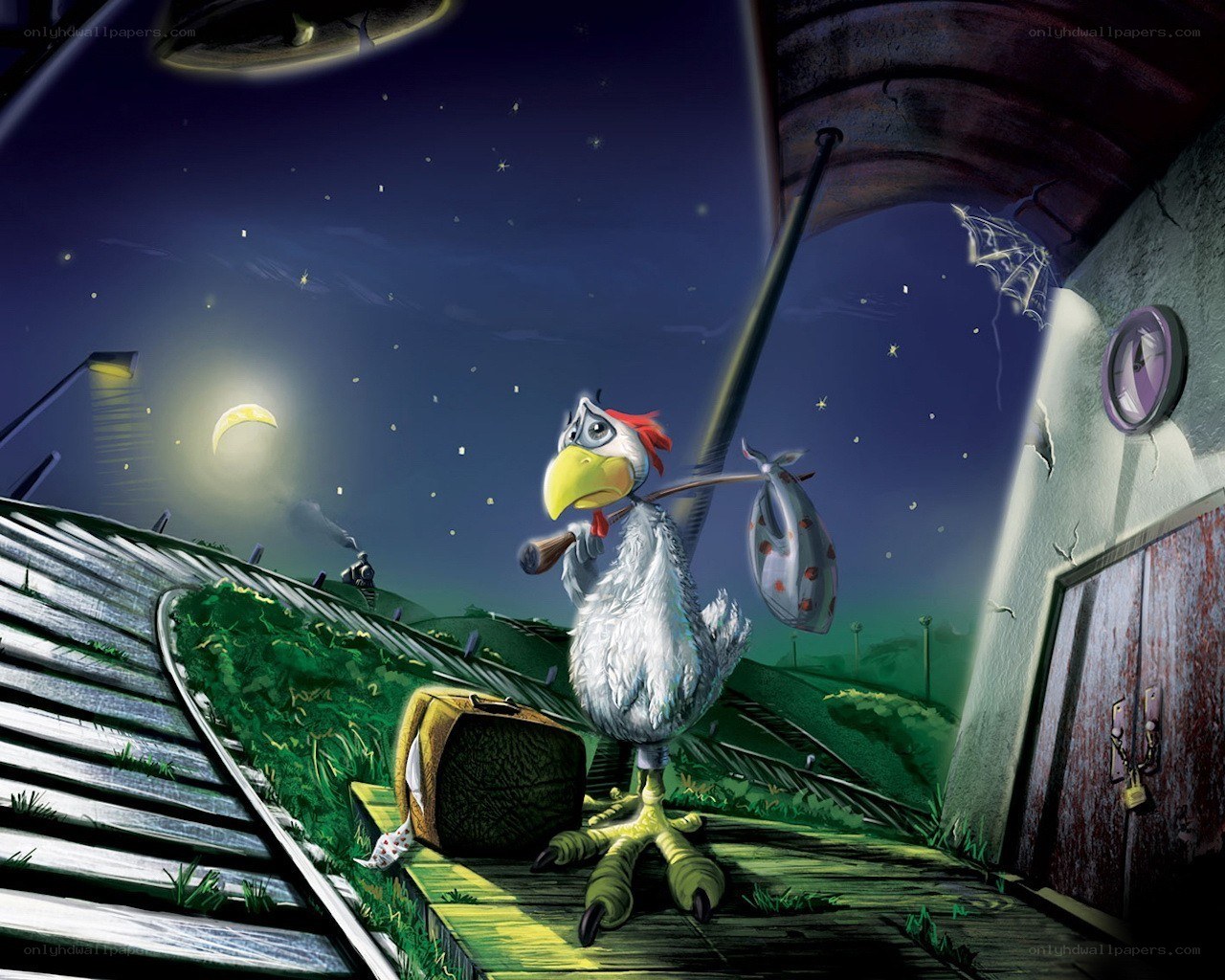 Chicken on a journey at night