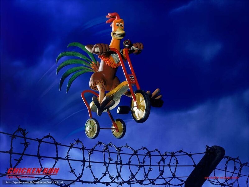 Chicken on a tricycle