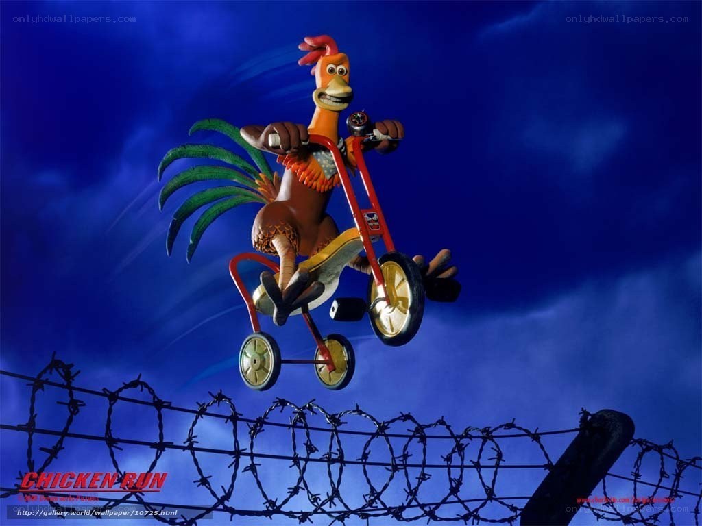 Chicken on a tricycle