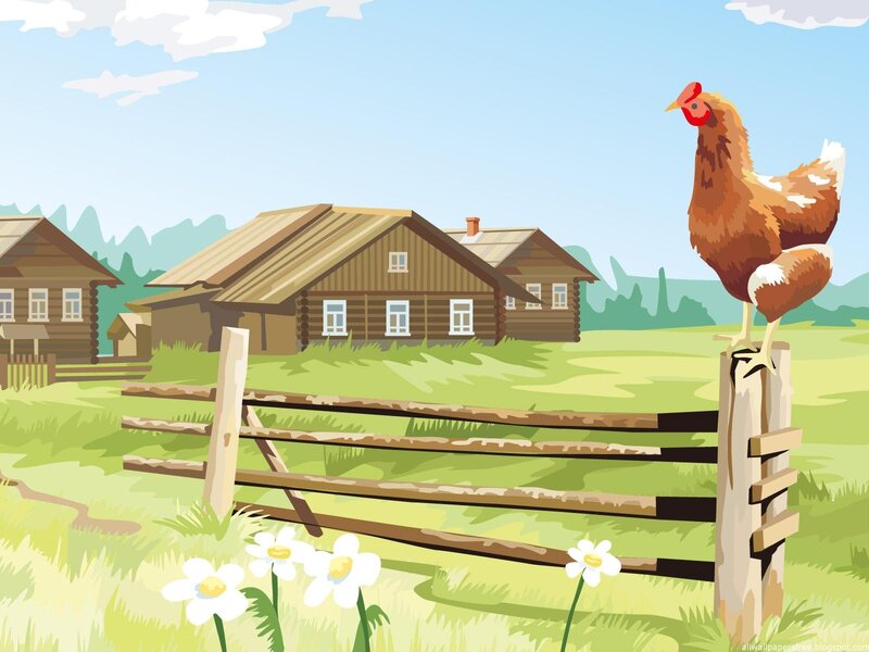 Chicken on Fence Post