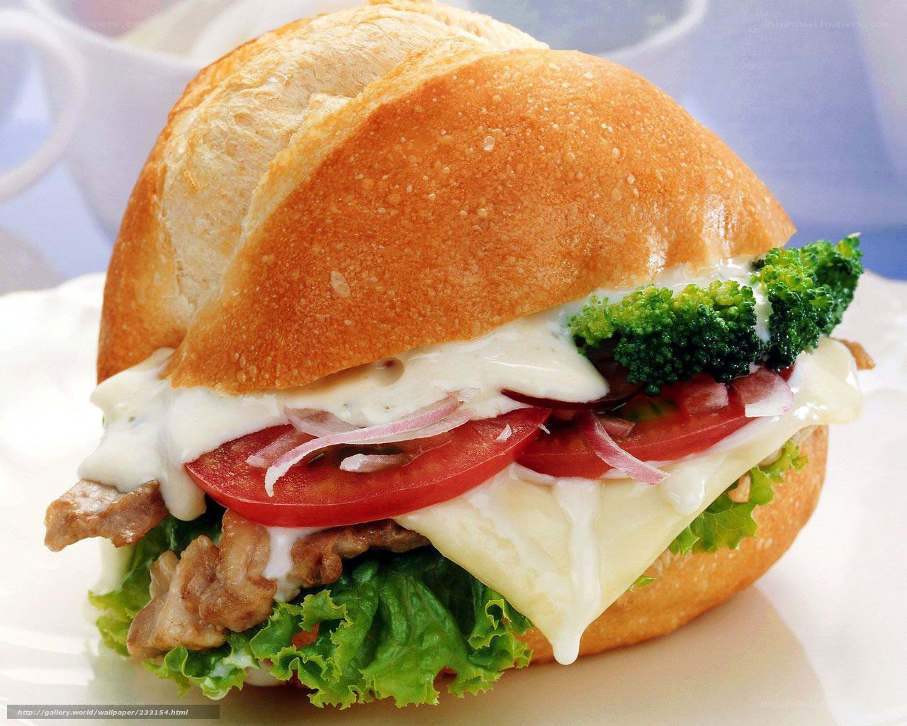 chicken sandwich with vegetables
