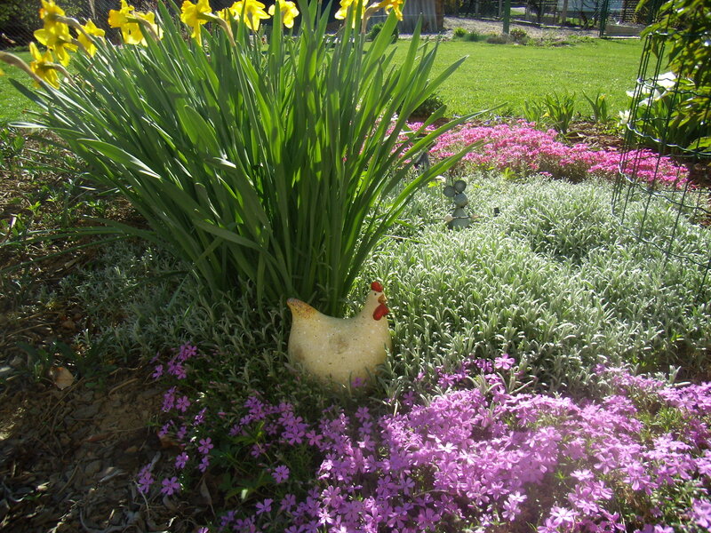 Chicken Statue in Garden