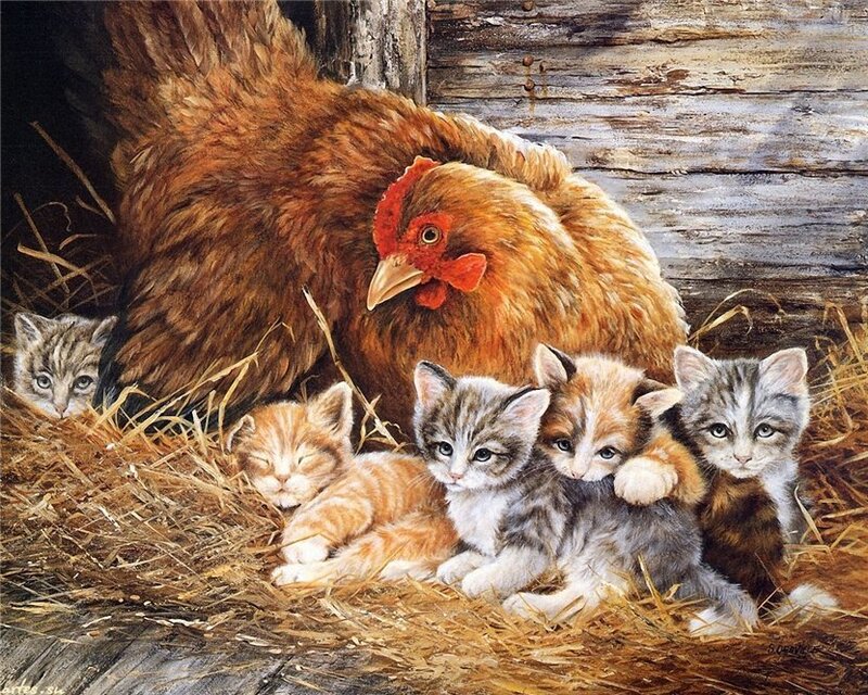 Chicken with Kittens