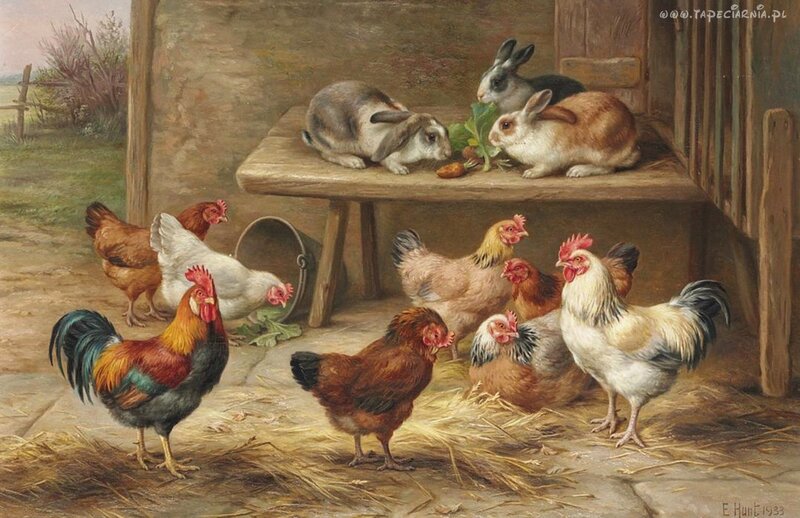 Chickens and Rabbits in Coop