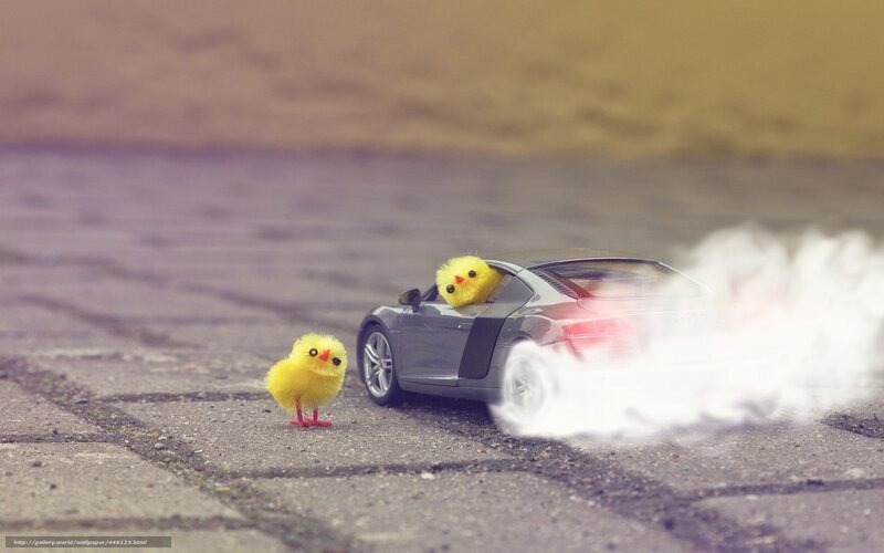 chickens and toy car